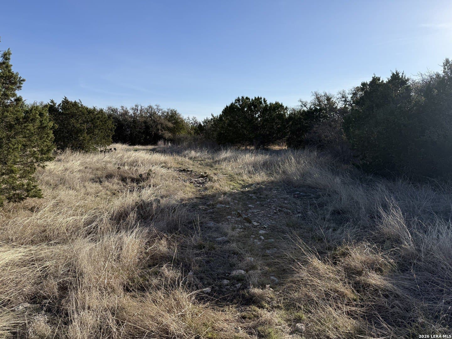 14 acres in Kimble County - photo 5