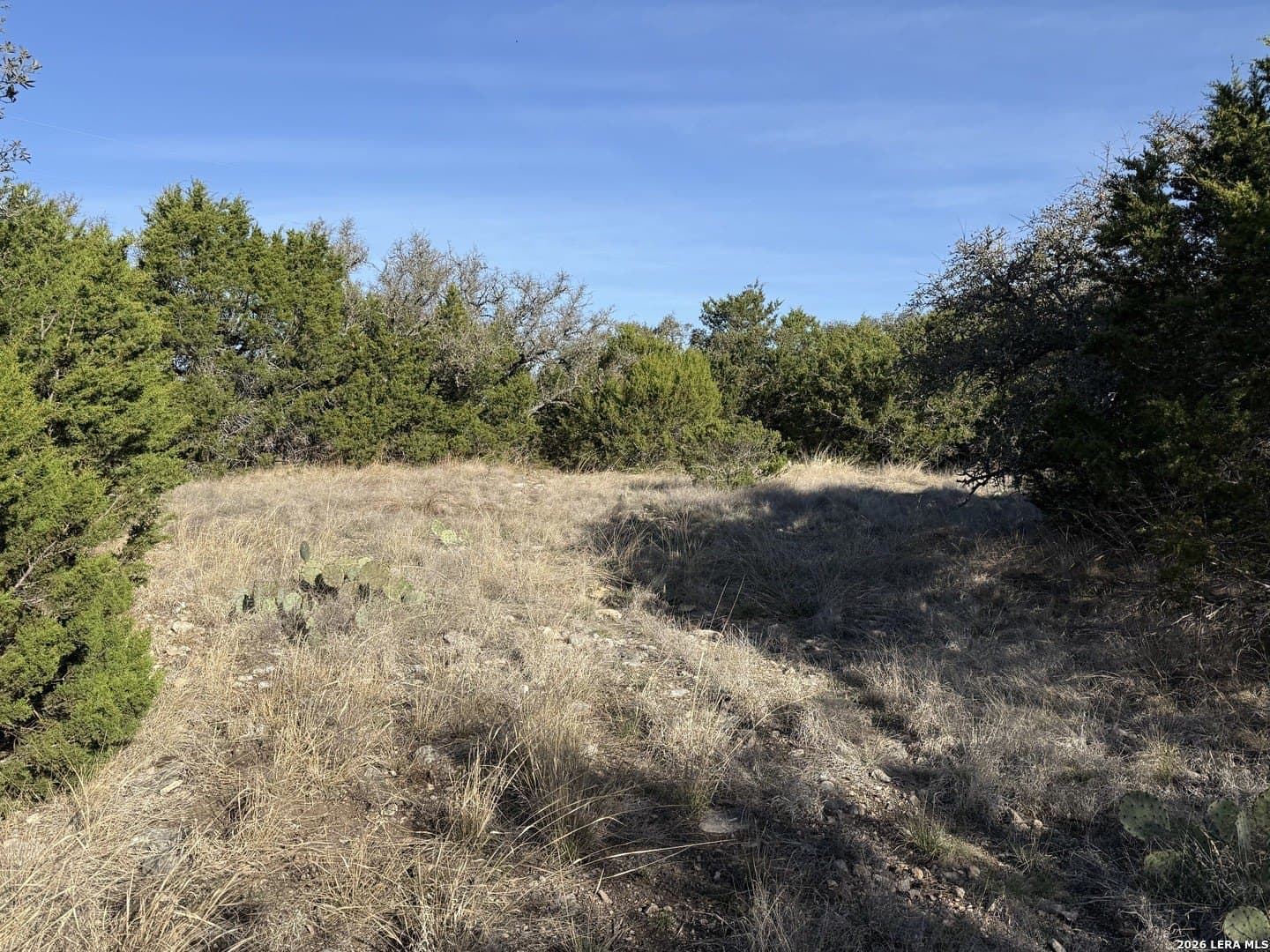 14 acres in Kimble County - photo 16