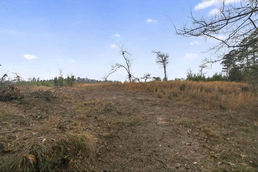 3.84 acres in Wood County - photo 7