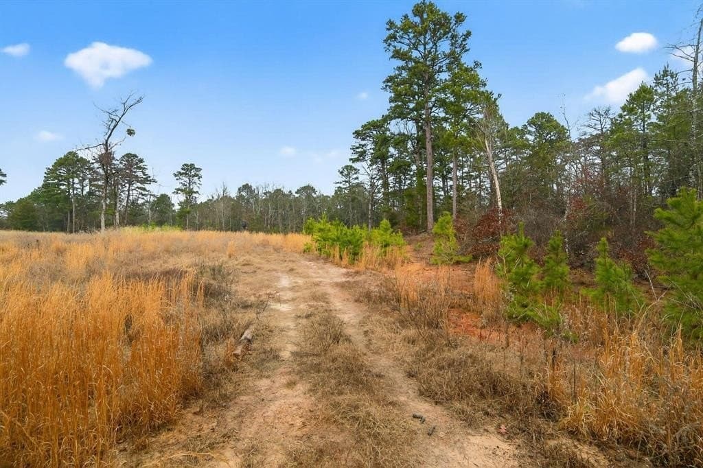 3.84 acres in Wood County - photo 13