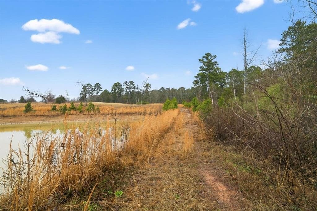 3.84 acres in Wood County - photo 24
