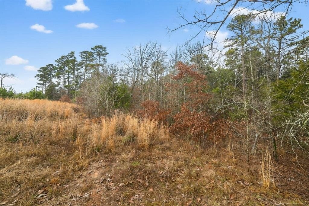 3.84 acres in Wood County - photo 10