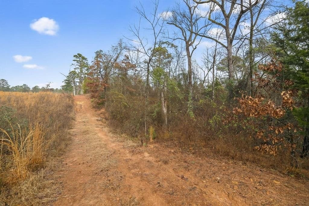 3.84 acres in Wood County - photo 17