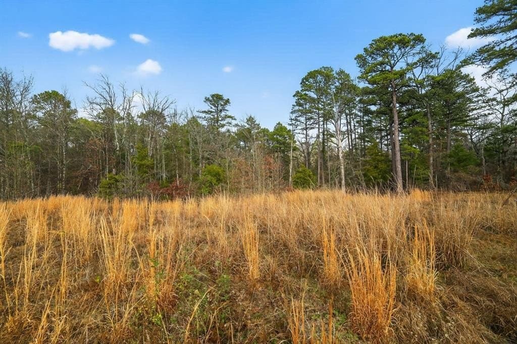 3.84 acres in Wood County - photo 11