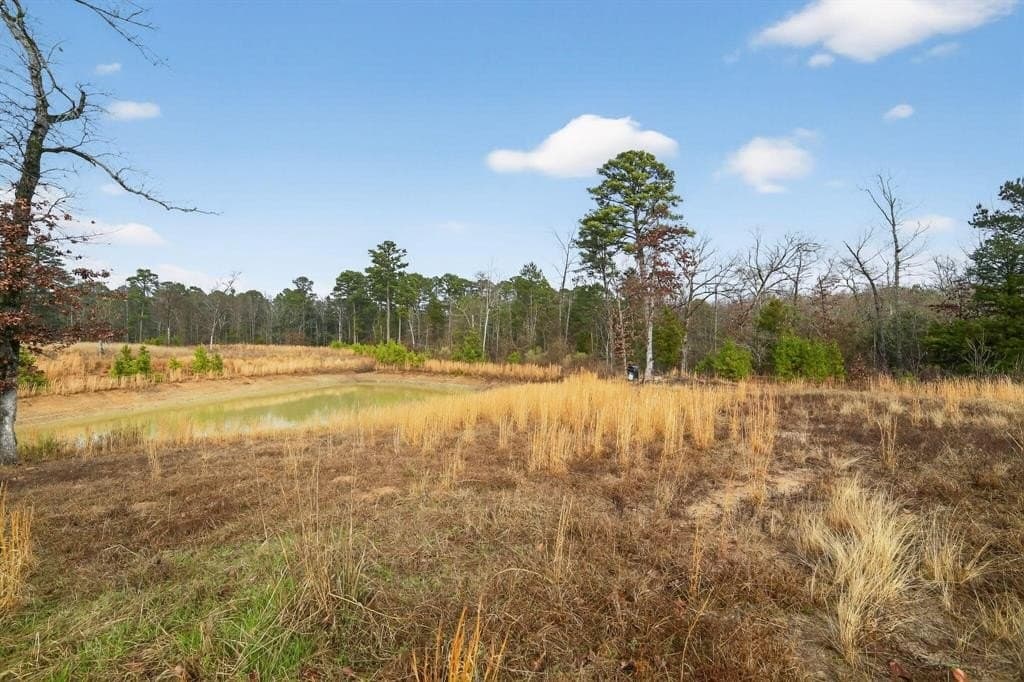 3.84 acres in Wood County - photo 28