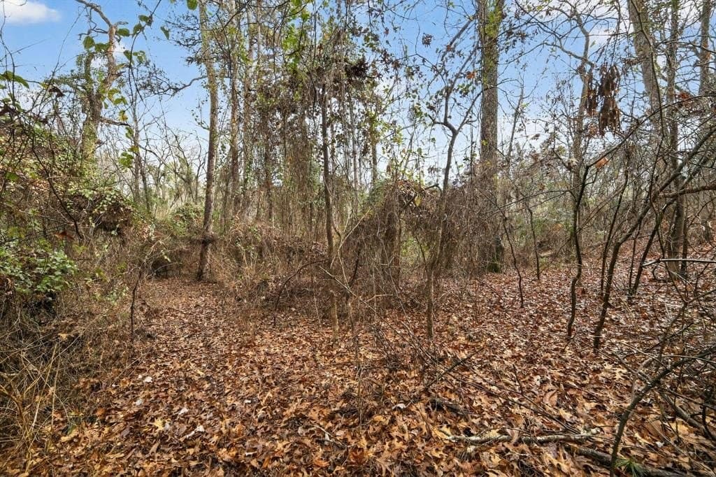 3.84 acres in Wood County - photo 23