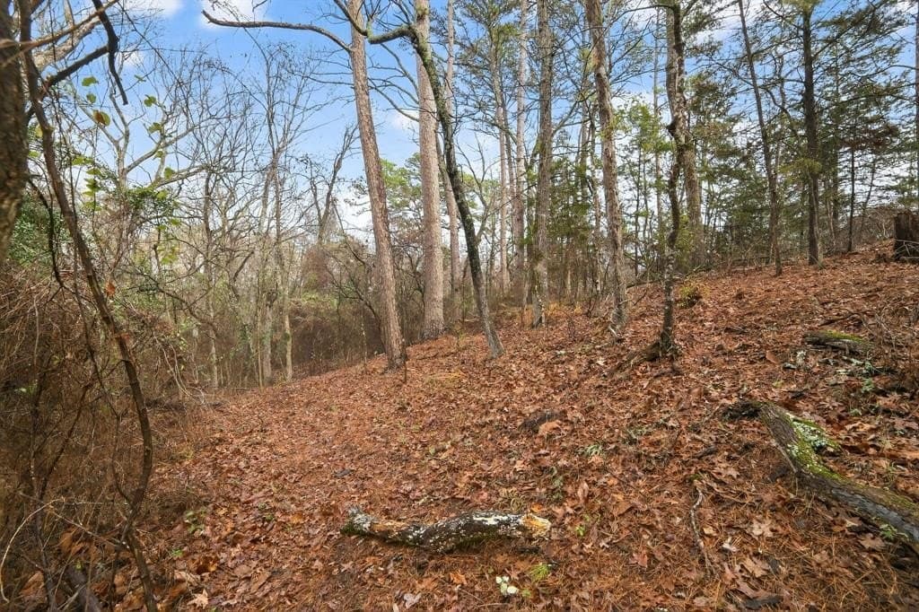 3.84 acres in Wood County - photo 21