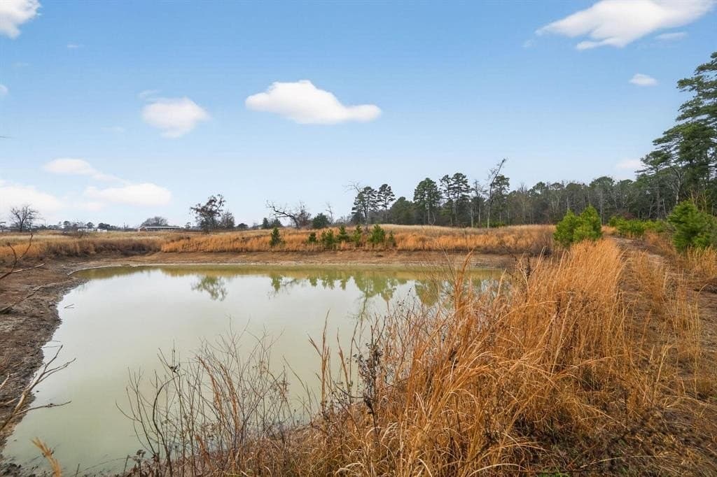 3.84 acres in Wood County - photo 29