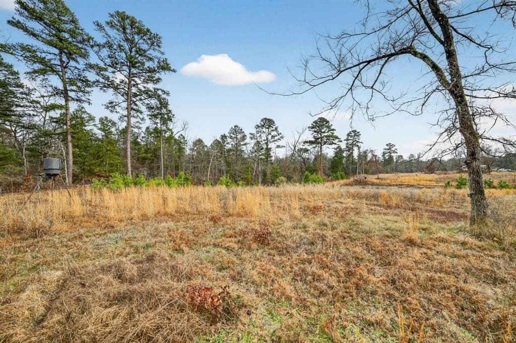 3.84 acres in Wood County - photo 30