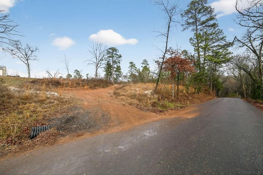 3.84 acres in Wood County - photo 16