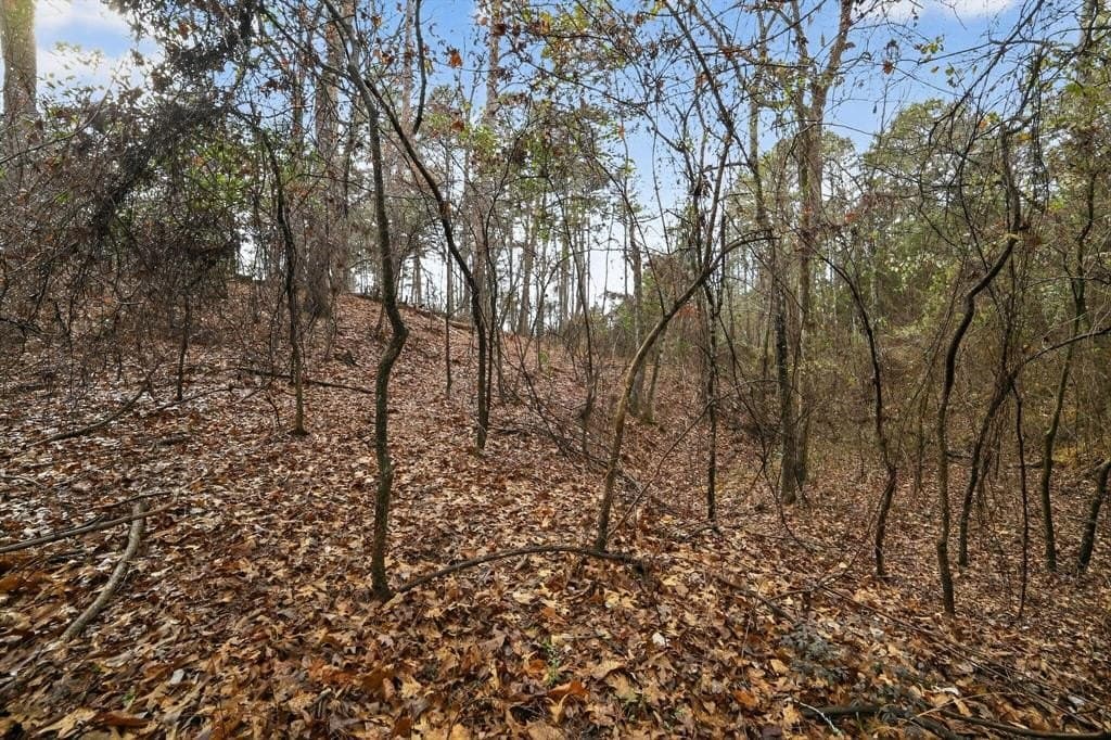 3.84 acres in Wood County - photo 12