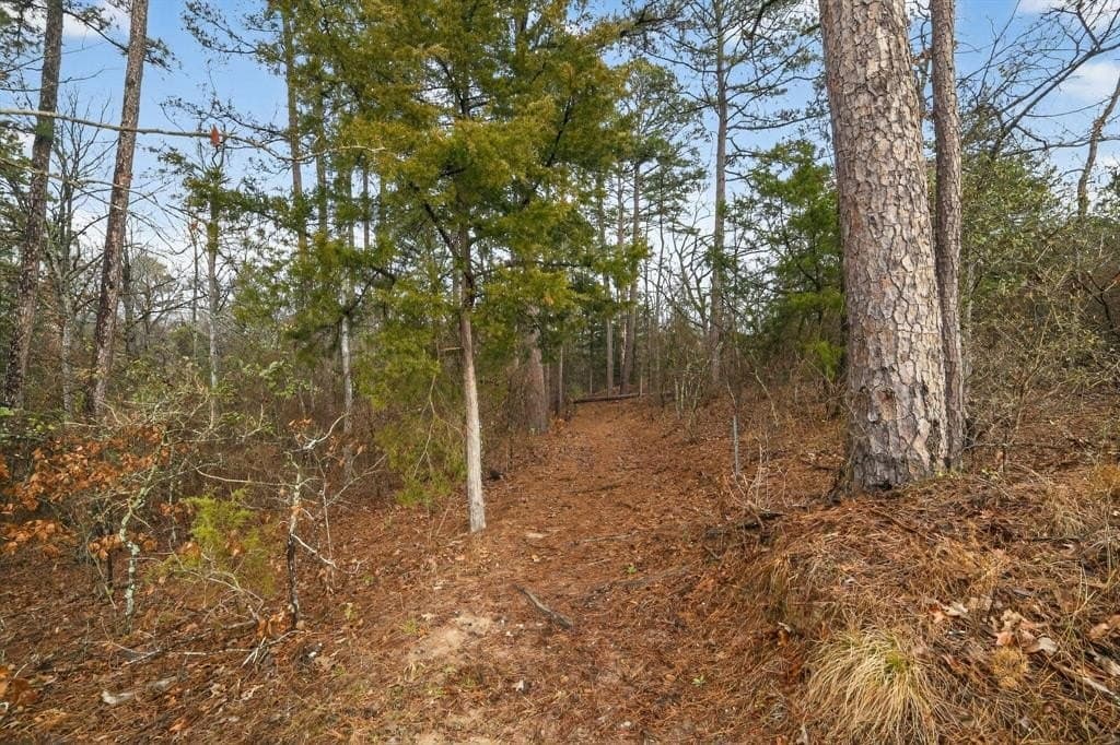 3.84 acres in Wood County - photo 20