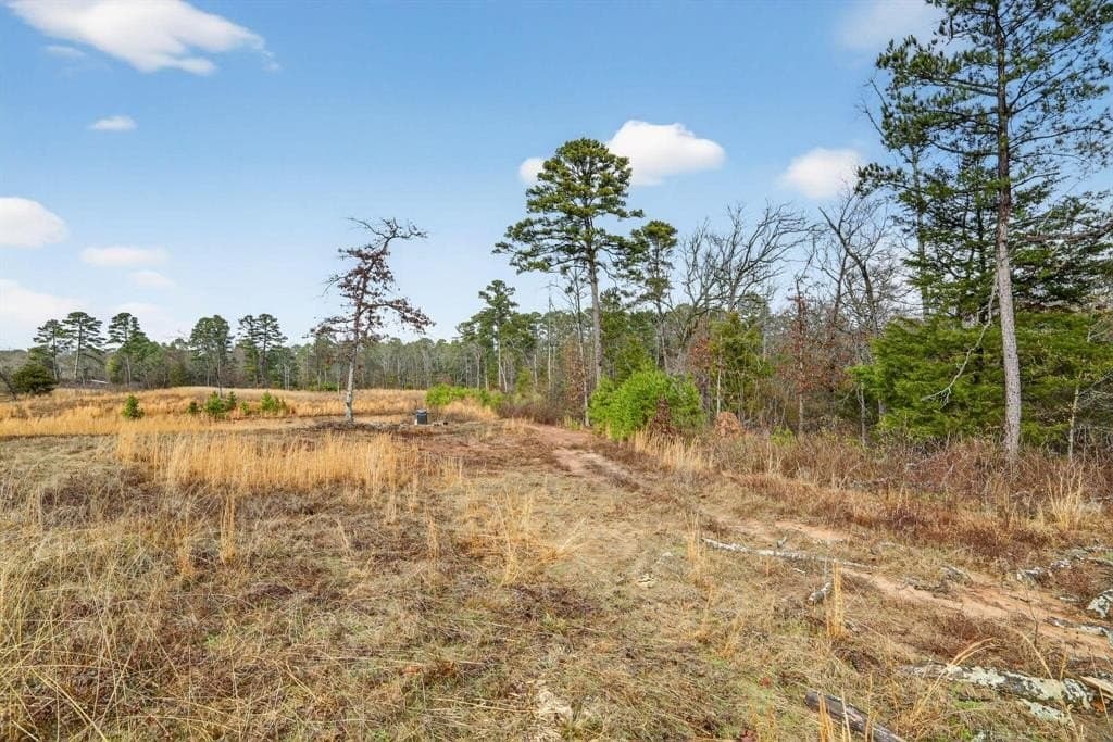 3.84 acres in Wood County - photo 33