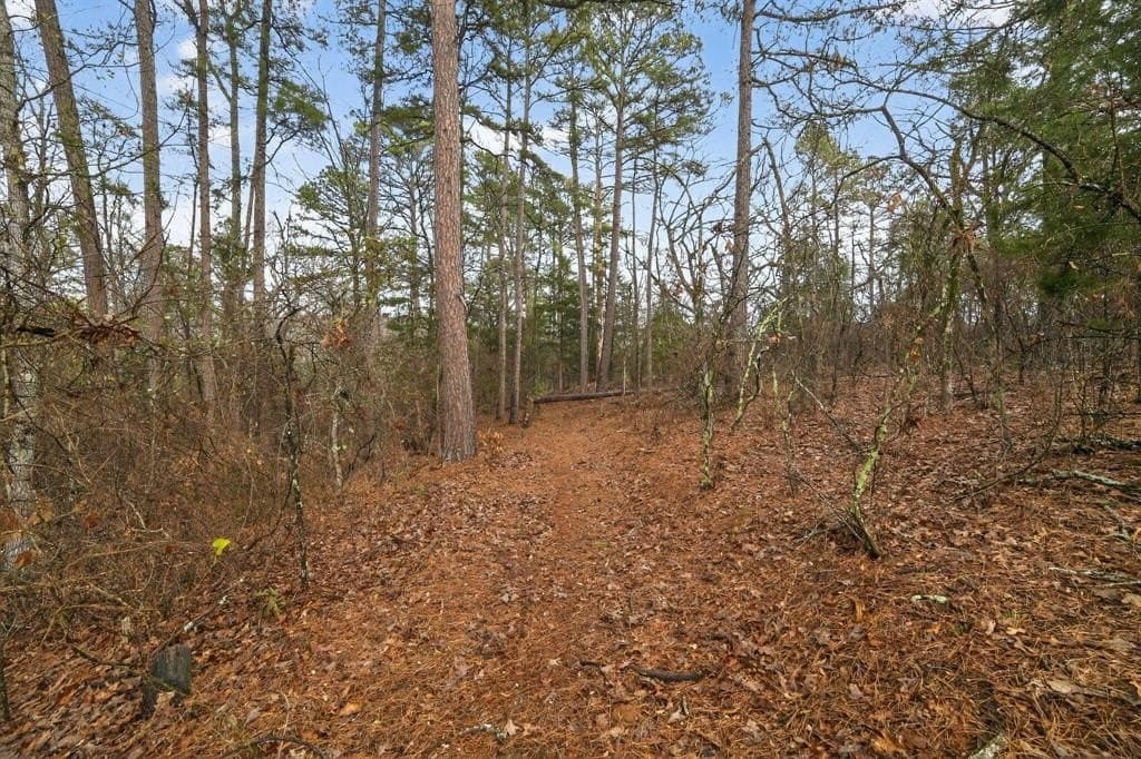 3.84 acres in Wood County - photo 15
