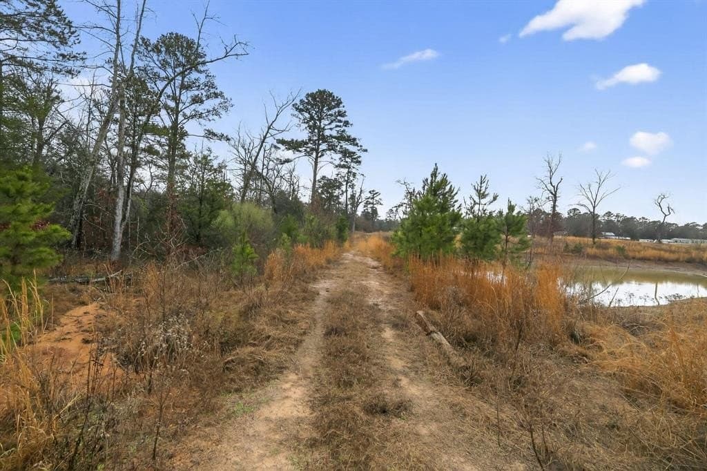 3.84 acres in Wood County - photo 22