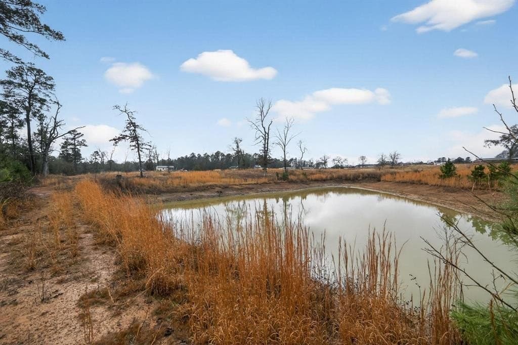 3.84 acres in Wood County - photo 9