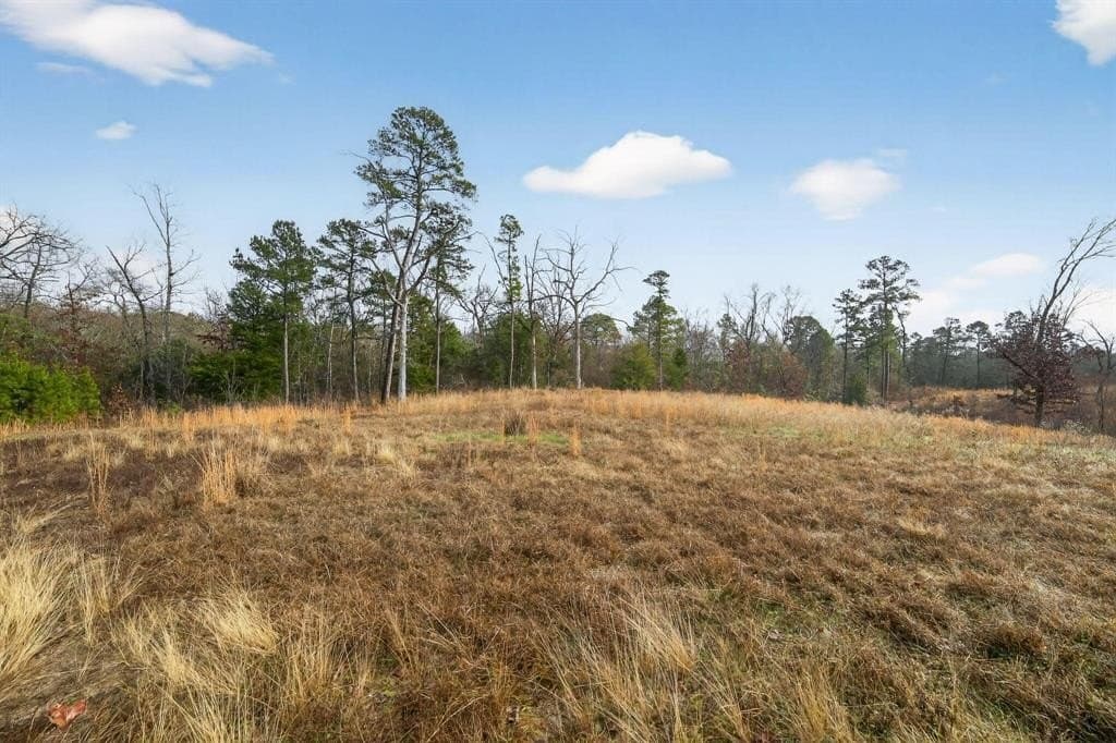 3.84 acres in Wood County - photo 19
