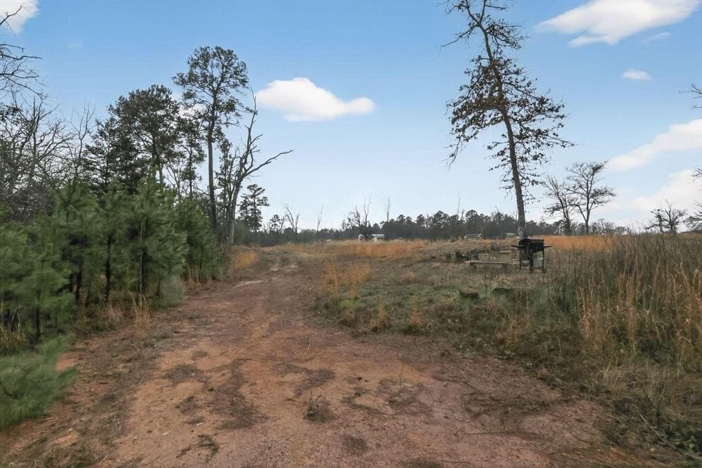 3.84 acres in Wood County - photo 25