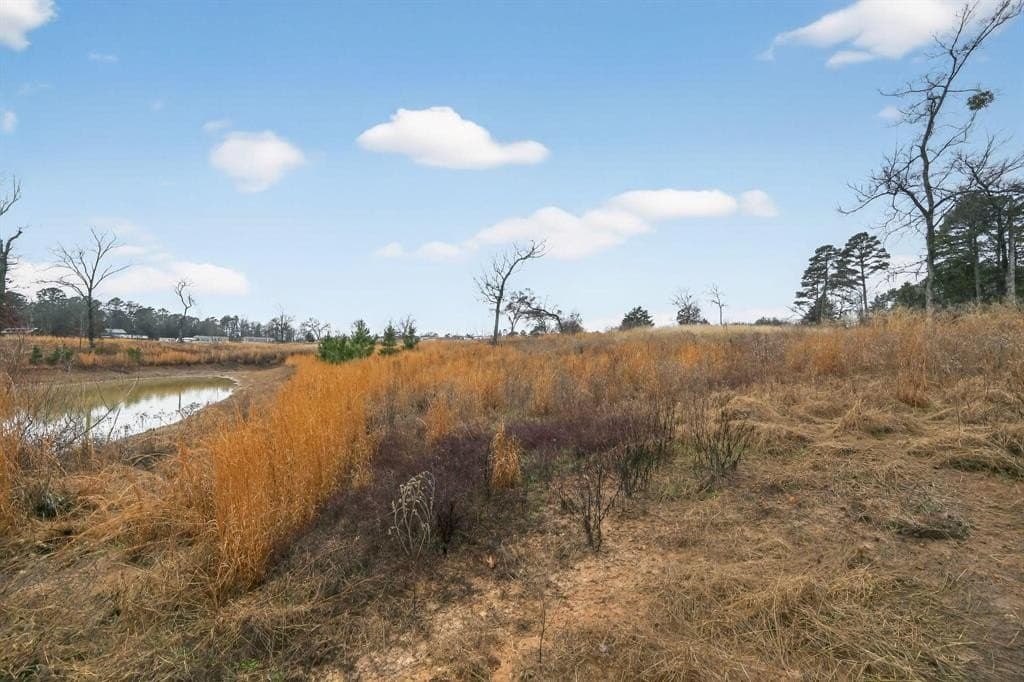 3.84 acres in Wood County - photo 26