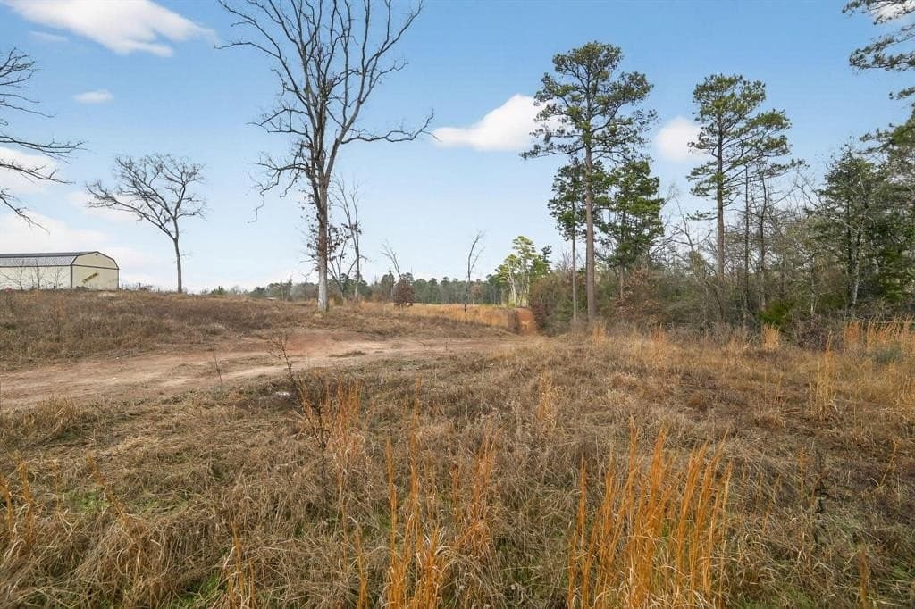 3.84 acres in Wood County - photo 27