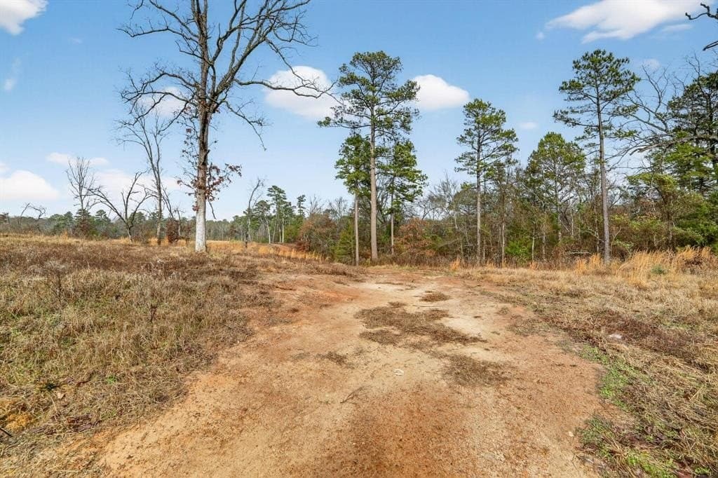 3.84 acres in Wood County - photo 34