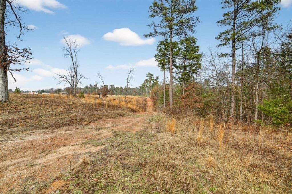 3.84 acres in Wood County - photo 31