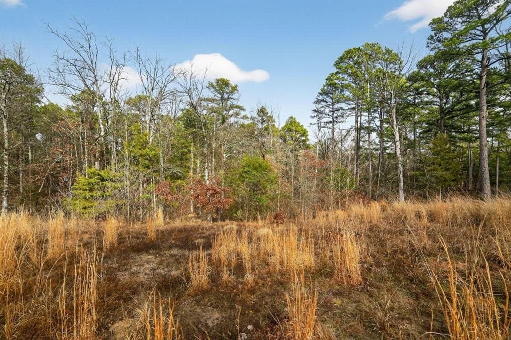 3.84 acres in Wood County - photo 8