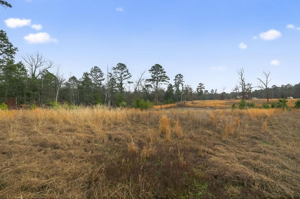 3.84 acres in Wood County - photo 18