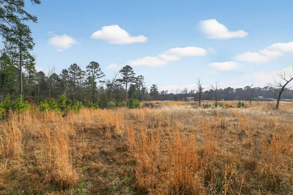 3.84 acres in Wood County - photo 35