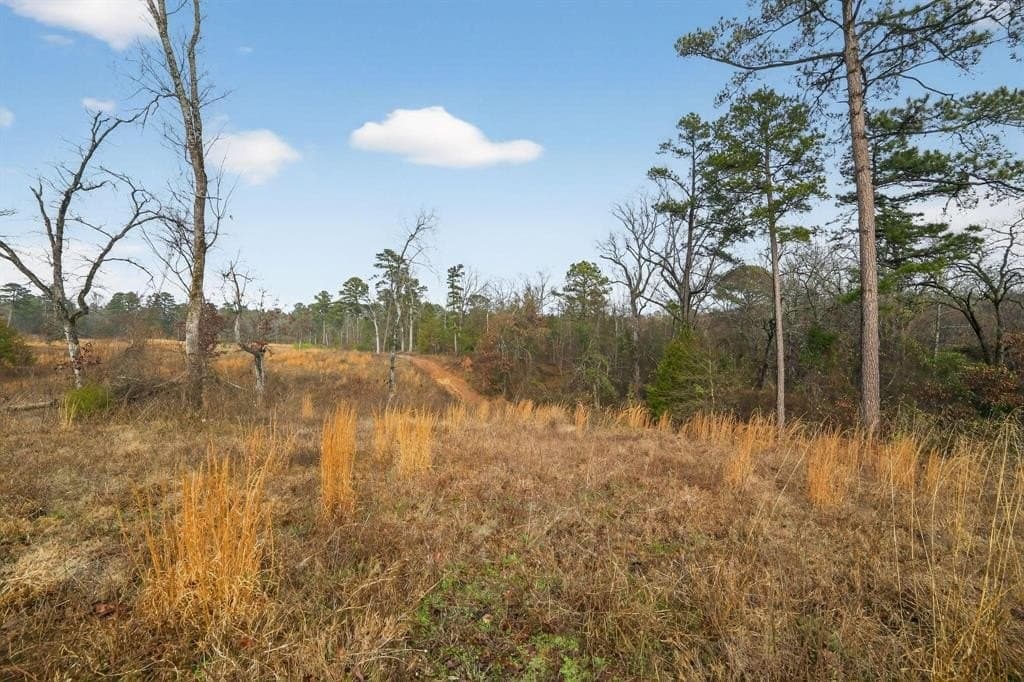 3.84 acres in Wood County - photo 14
