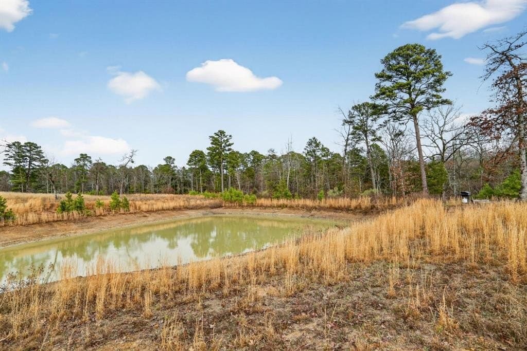 3.84 acres in Wood County - photo 32