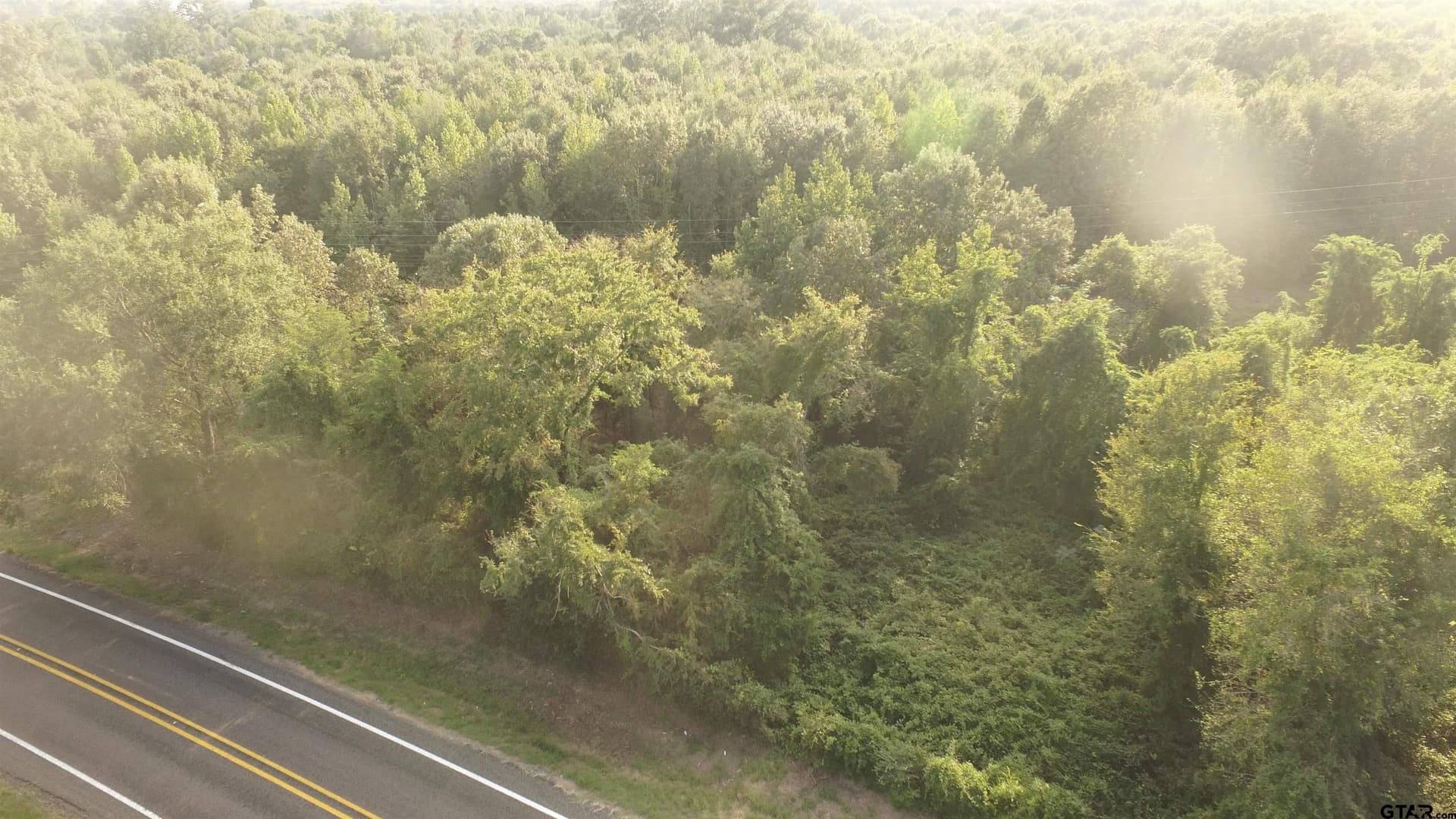 2.74 acres in Camp County - photo 3