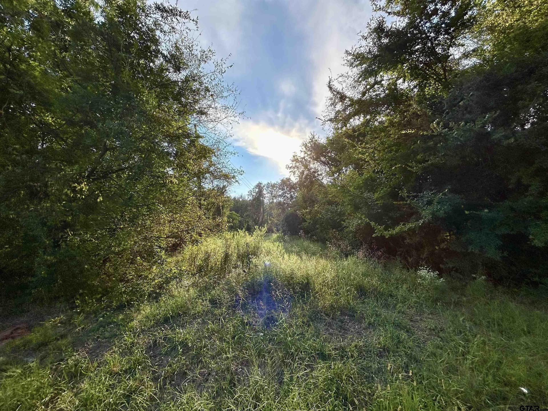 2.74 acres in Camp County - photo 2
