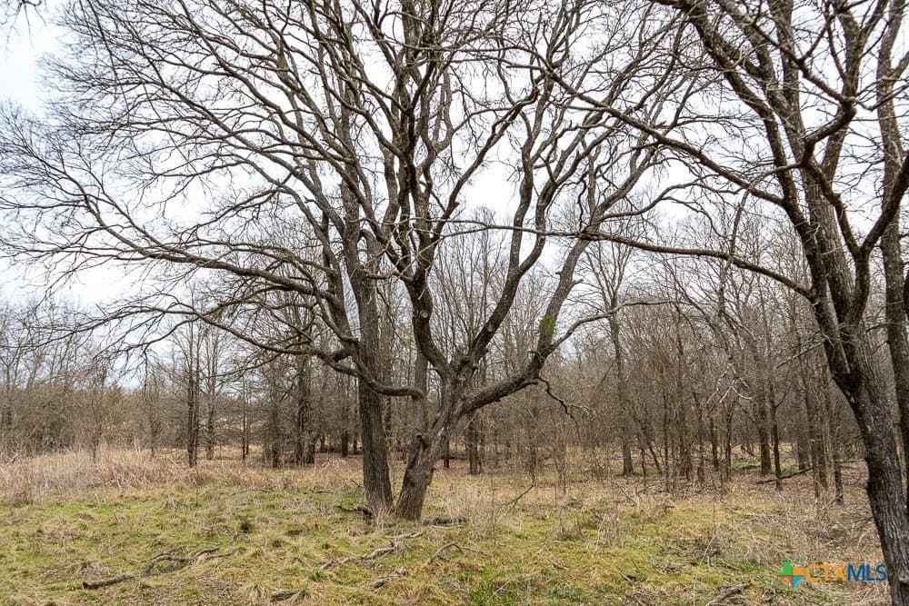 26.49 acres in Bell County - photo 21