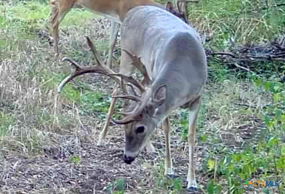 26.49 acres in Bell County - photo 27