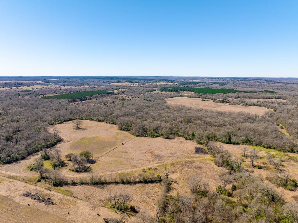 181.17 acres in FREESTONE County - photo 3