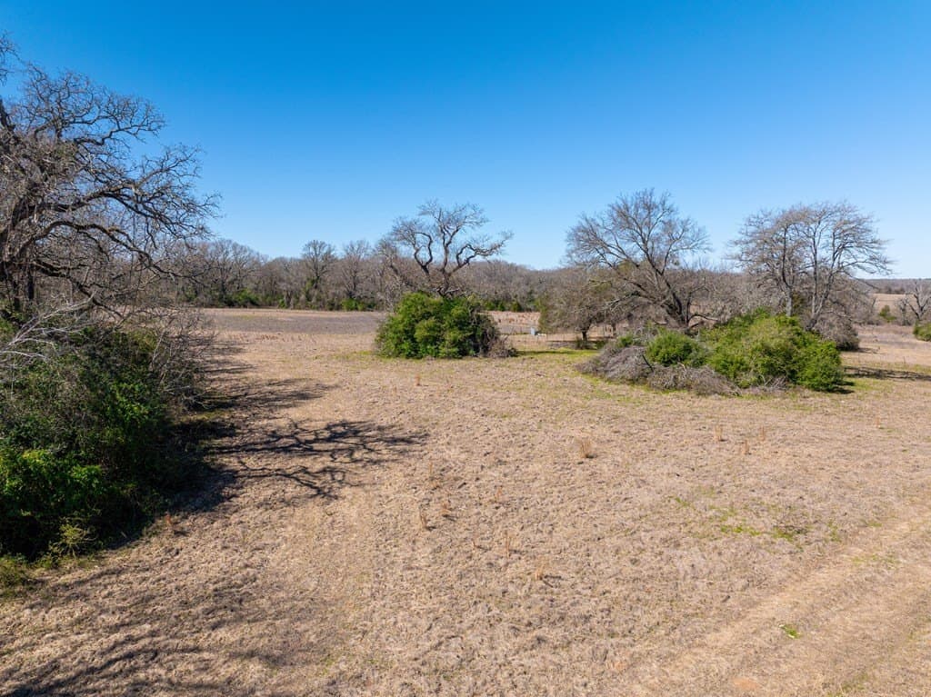 181.17 acres in FREESTONE County - photo 11