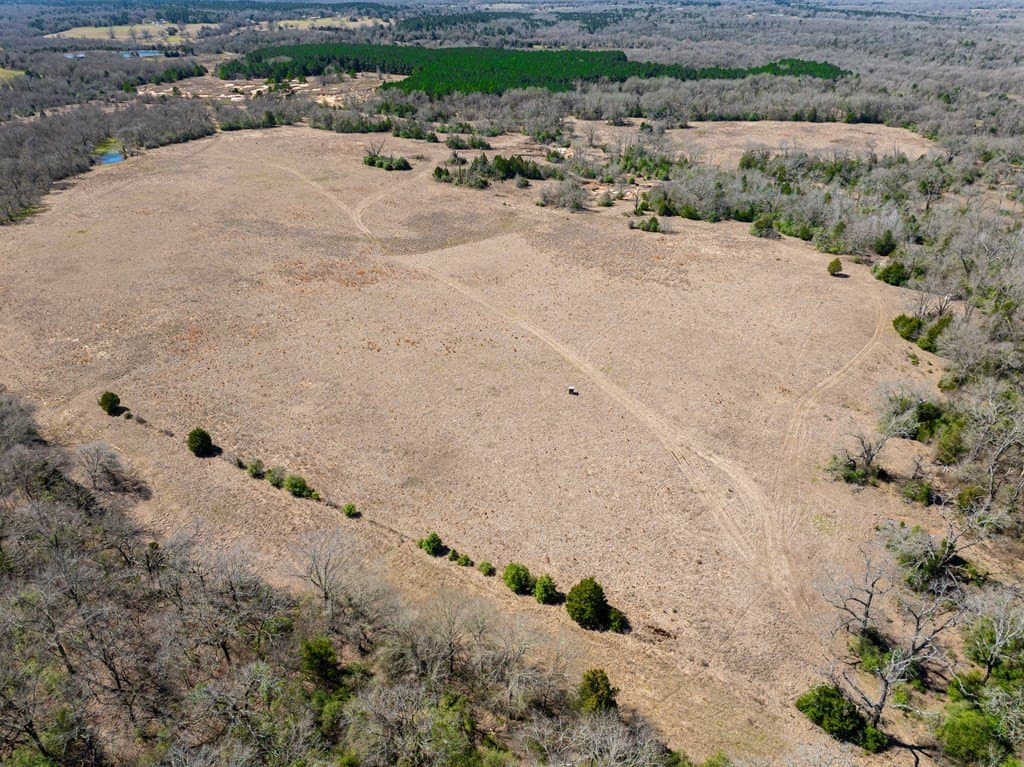 181.17 acres in FREESTONE County - photo 7