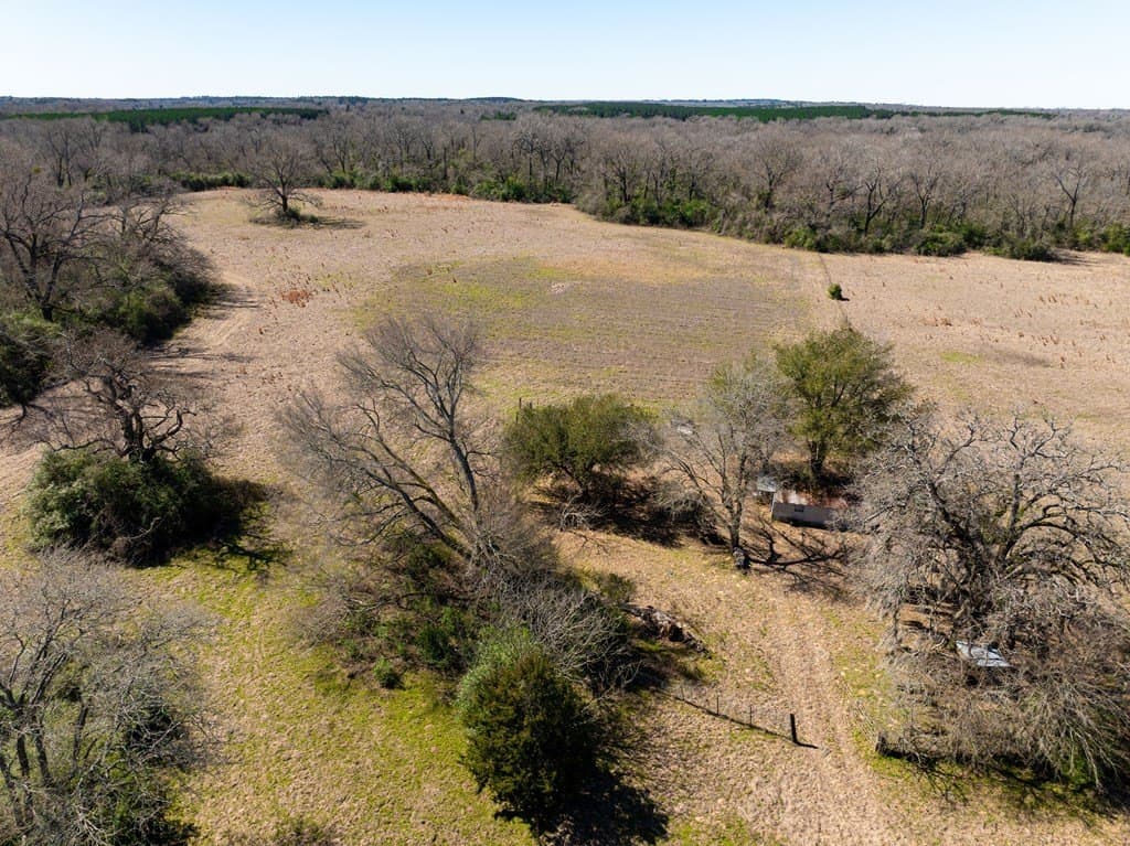 181.17 acres in FREESTONE County - photo 12