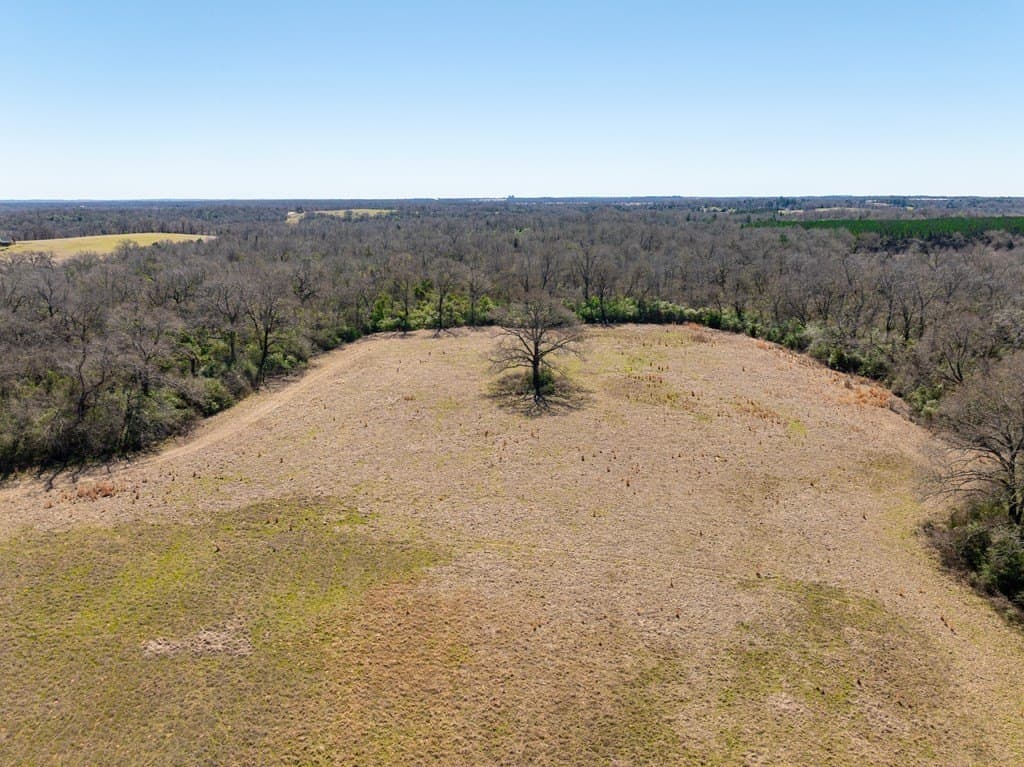181.17 acres in FREESTONE County - photo 6