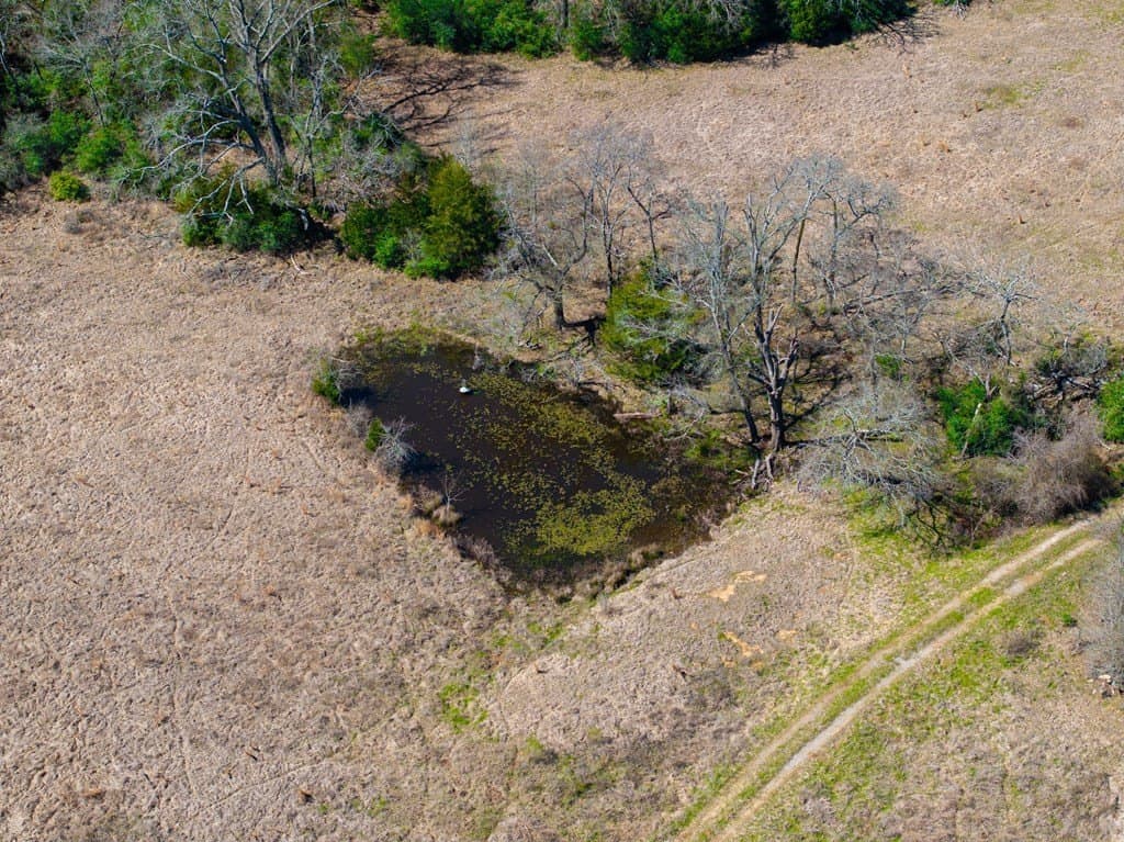 181.17 acres in FREESTONE County - photo 14