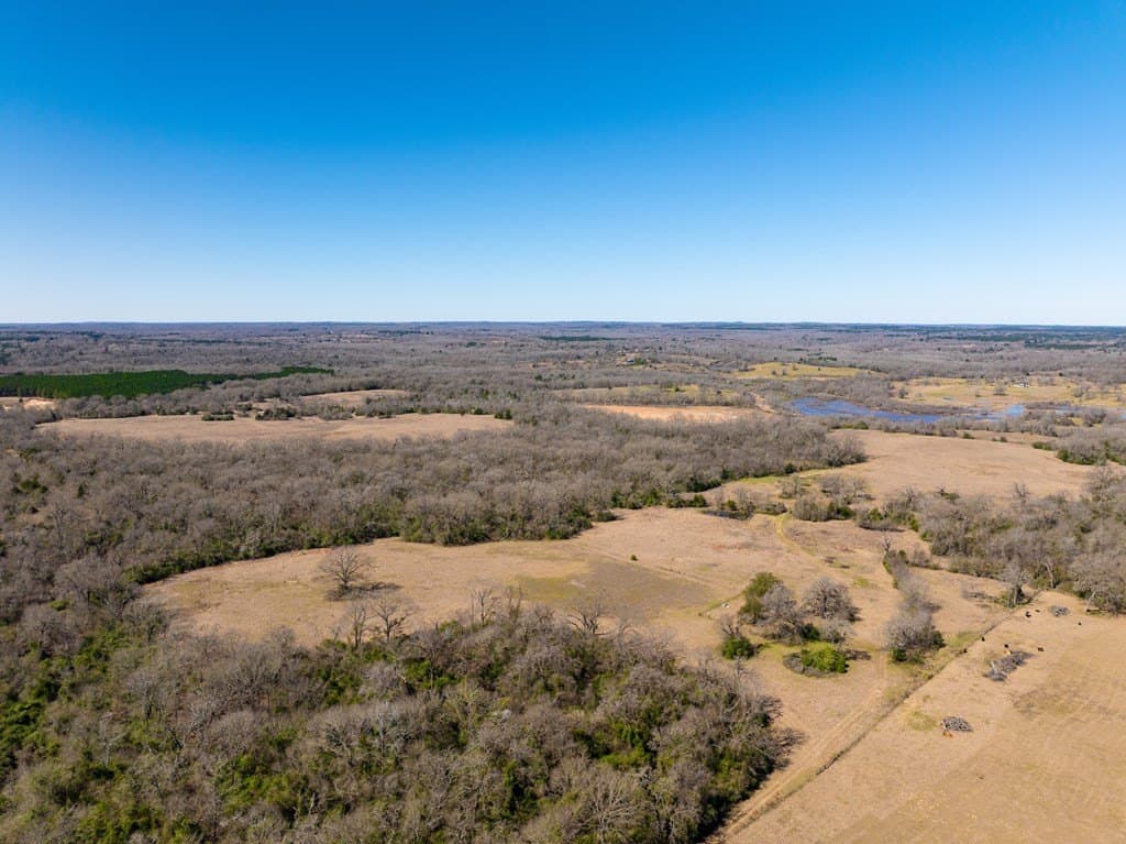 181.17 acres in FREESTONE County - photo 2