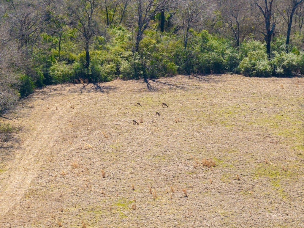 181.17 acres in FREESTONE County - photo 16