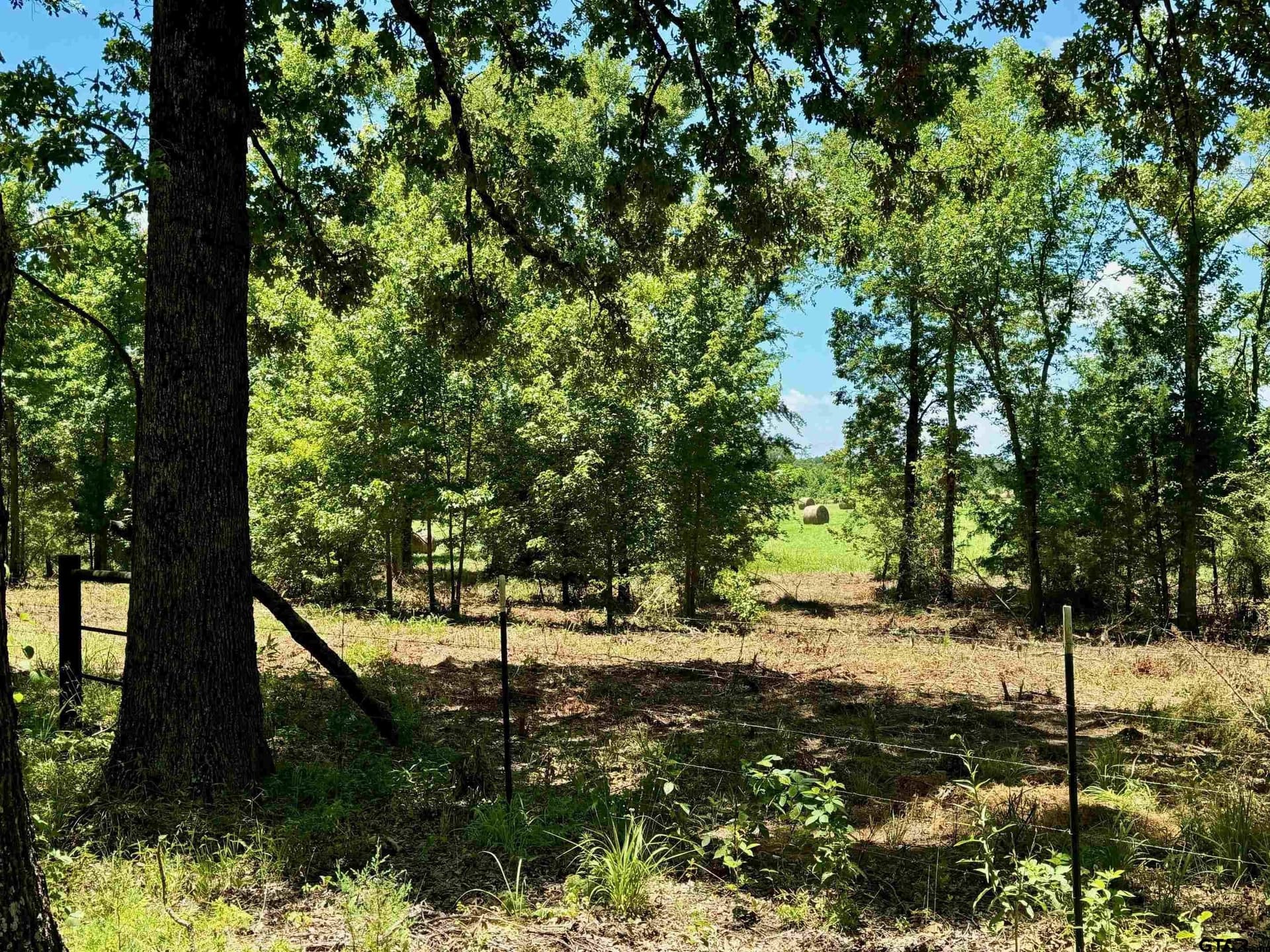 10 acres in Titus County - photo 4