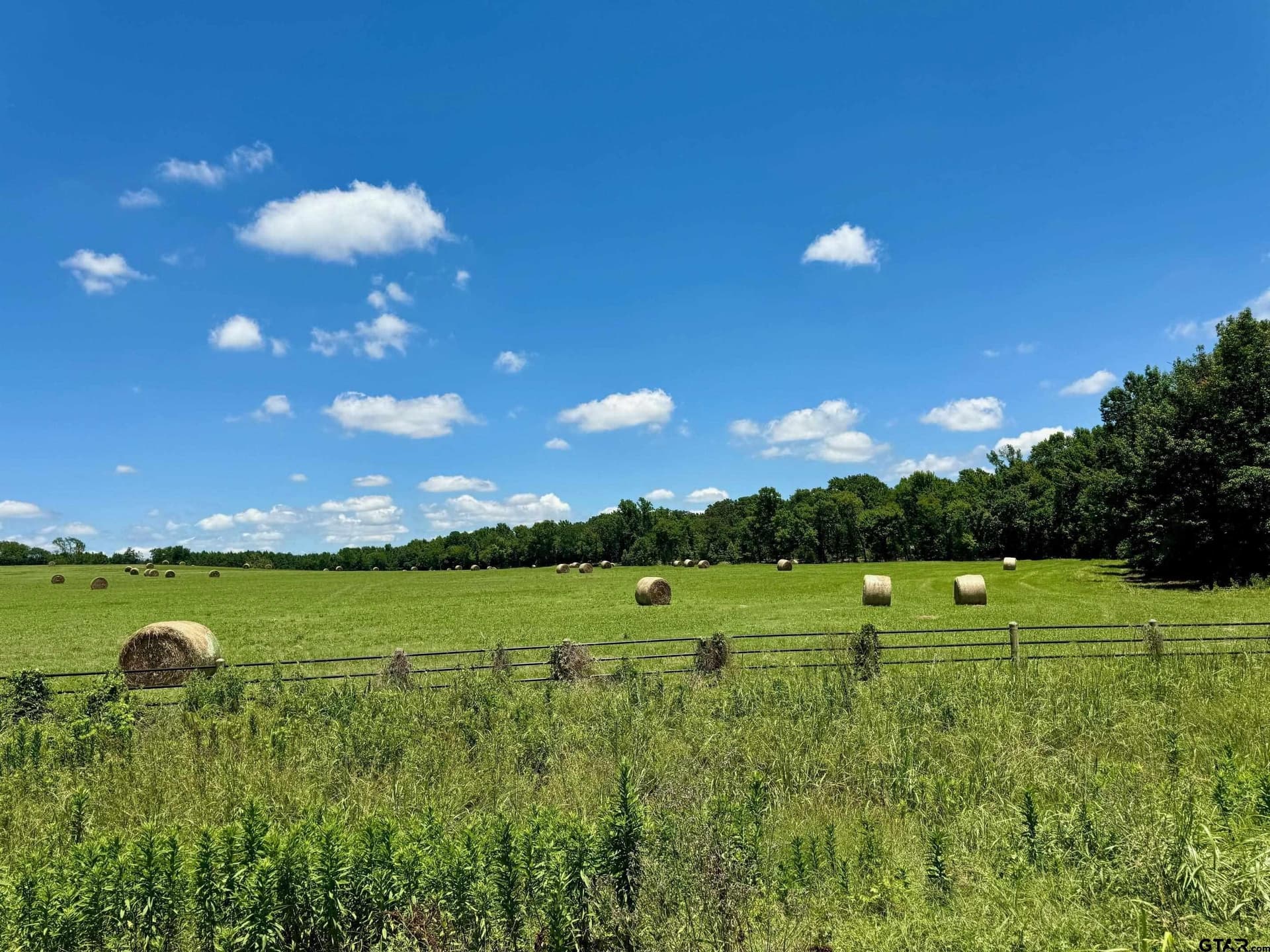 10 acres in Titus County - photo 9