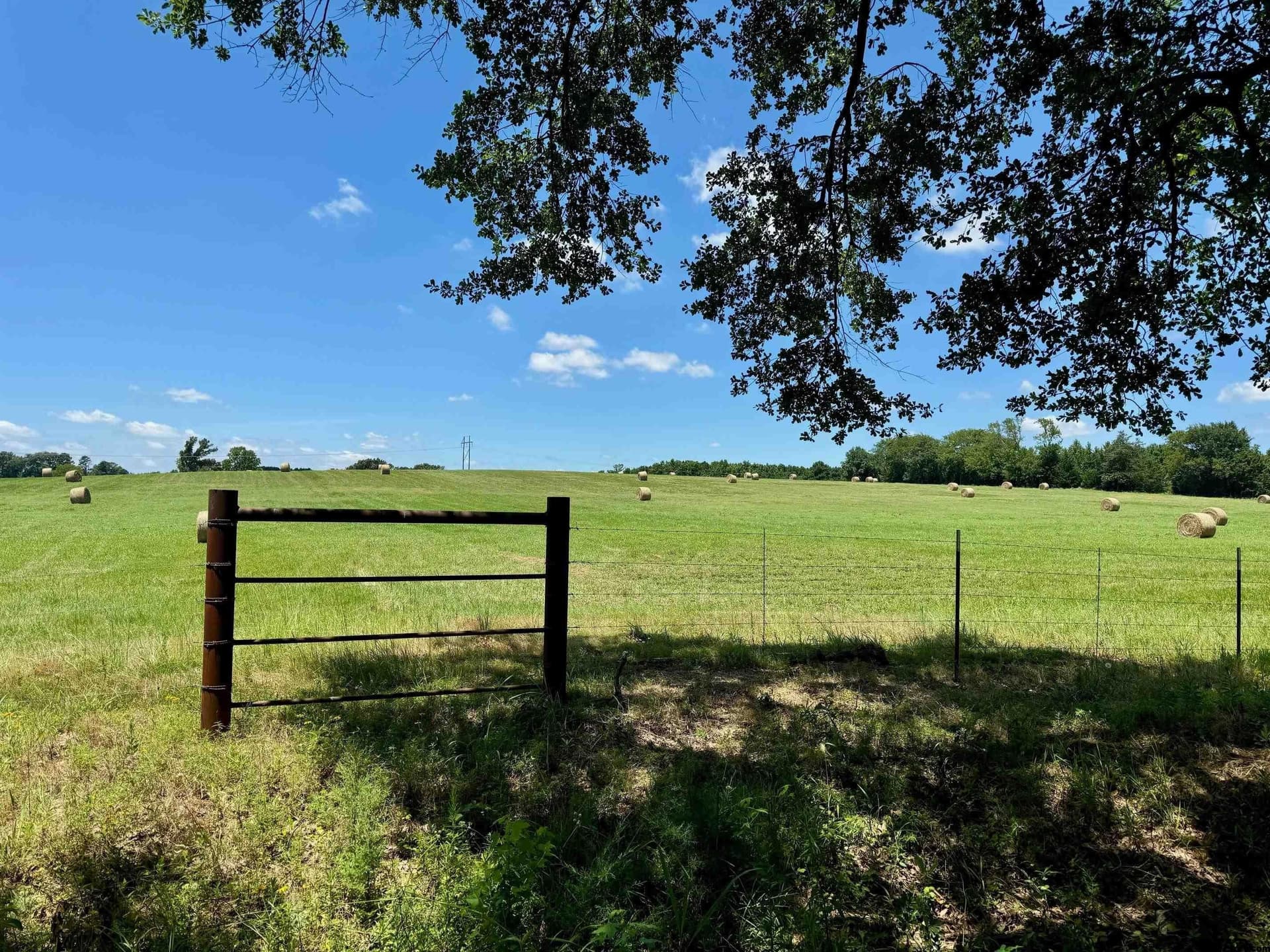 10 acres in Titus County - photo 2