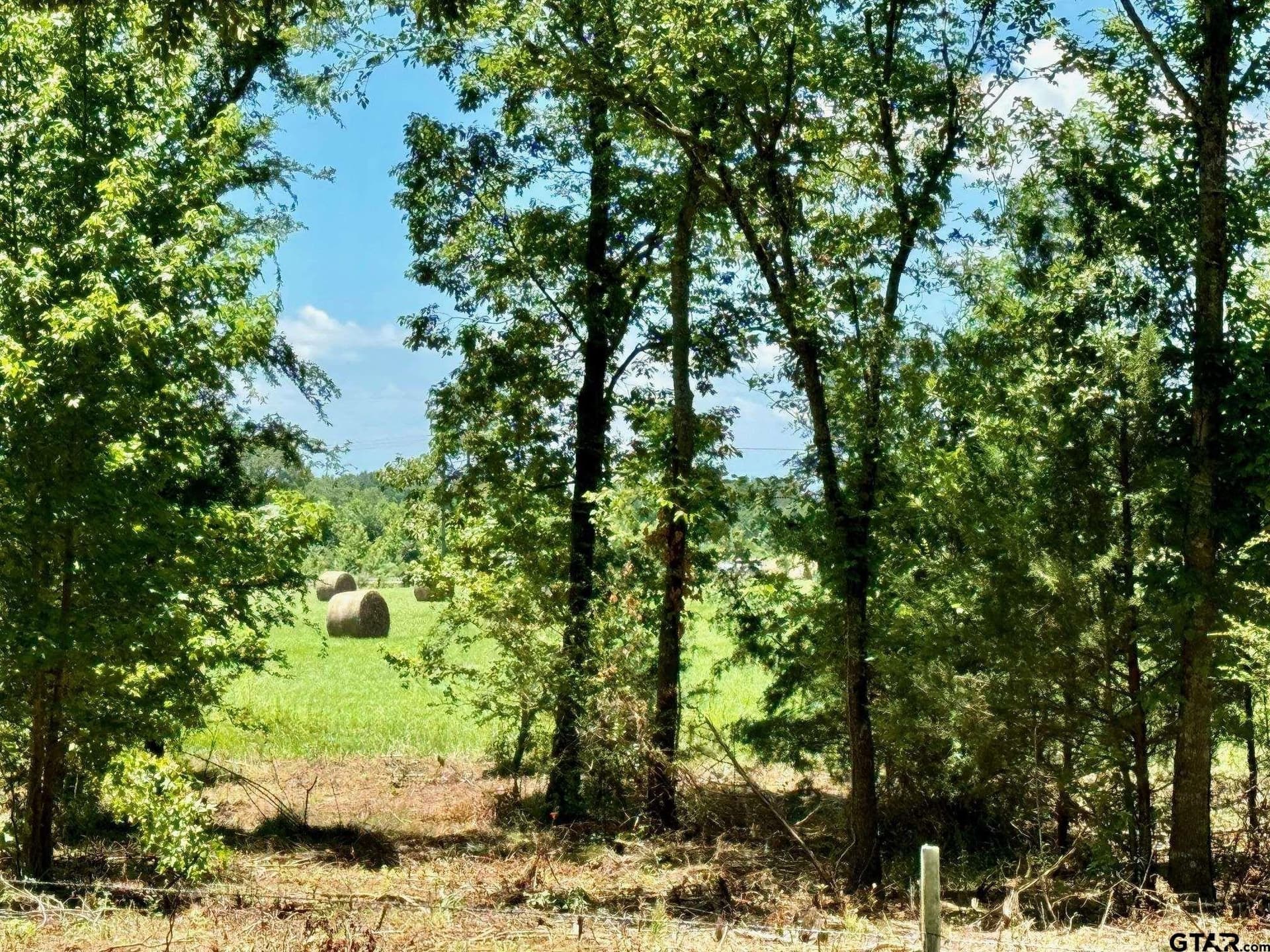 10 acres in Titus County - photo 3