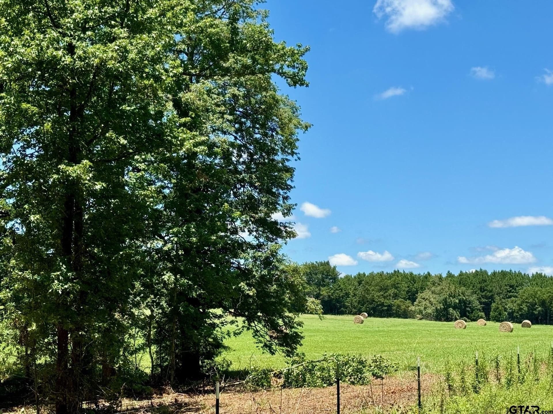 10 acres in Titus County - photo 5