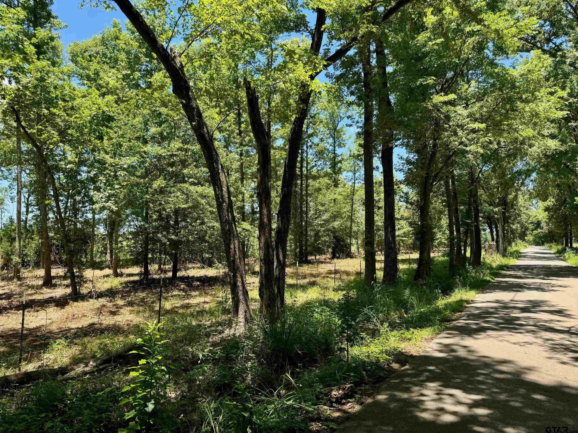 10 acres in Titus County - photo 6