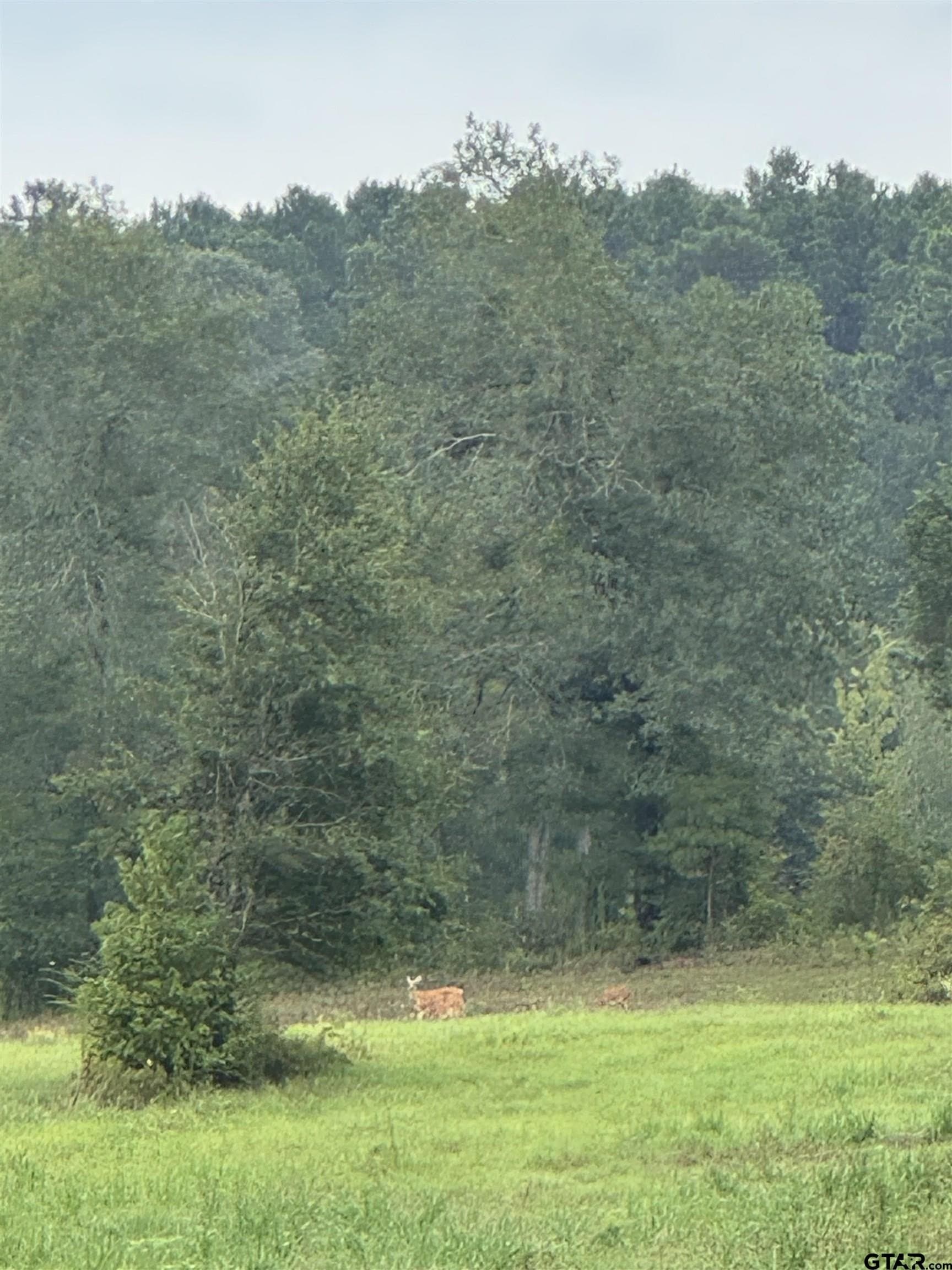 131.64 acres in Cherokee County - photo 18